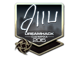 allu (Foil) | Cluj-Napoca 2015