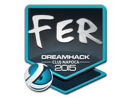 fer | Cluj-Napoca 2015