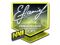 flamie (Foil) | Cluj-Napoca 2015