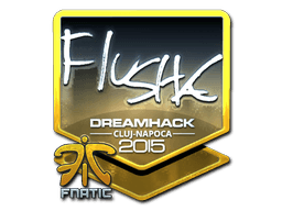 flusha (Foil) | Cluj-Napoca 2015