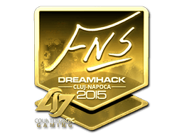 FNS (Gold) | Cluj-Napoca 2015