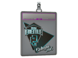 Sticker Slab | Team eBettle (Foil) | Cologne 2015