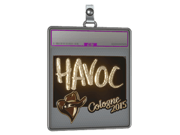 Sticker Slab | Havoc (Gold) | Cologne 2015