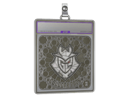 Sticker Slab | G2 esports (Foil, Ranked) | Cologne 2026
