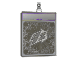 Sticker Slab | 9z Team (Foil, Ranked) | Cologne 2026