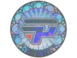 Sticker | paiN Gaming (Holo) | Cologne 2026