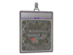 Sticker Slab | paiN Gaming (Foil, Ranked) | Cologne 2026