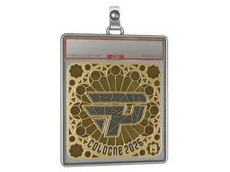 Sticker Slab | paiN Gaming (Gold, Ranked) | Cologne 2026