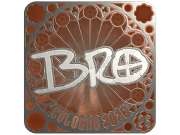 Sticker | br0 (Foil, Ranked) | Cologne 2026