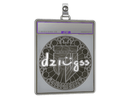 Sticker Slab | dziugss (Foil) | Cologne 2026