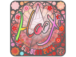 Sticker | HooXi (Holo, Ranked) | Cologne 2026