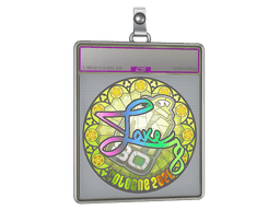 Sticker Slab | Lake (Holo) | Austin 2025