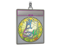Sticker Slab | s1n (Holo) | Austin 2025