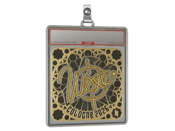 Sticker Slab | woxic (Gold, Ranked) | Cologne 2026