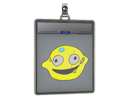 Sticker Slab | Lemin
