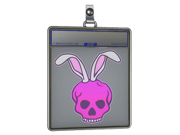 Sticker Slab | Skull Bunny