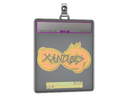 Sticker Slab | XANTARES (Holo) | Antwerp 2022