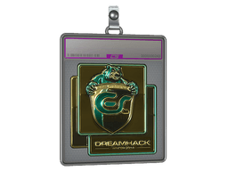 Sticker Slab | ESC Gaming (Gold) | DreamHack 2014