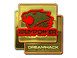 iBUYPOWER (Gold) | DreamHack 2014
