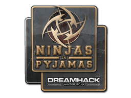 Ninjas in Pyjamas | DreamHack 2014