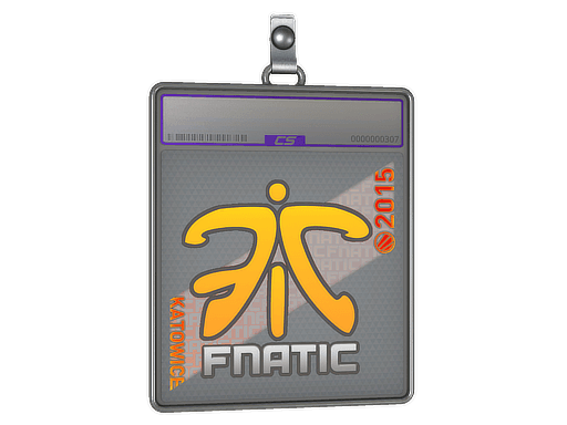 Fnatic (Holo) | Katowice 2014