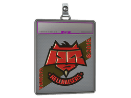 Sticker Slab | HellRaisers (Gold) | DreamHack 2014