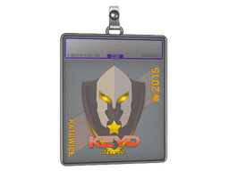 Sticker Slab | Keyd Stars (Holo) | Katowice 2015