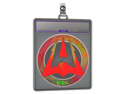 Sticker Slab | Avangar (Holo) | Boston 2018