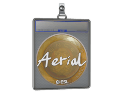 Sticker Slab | Aerial | Katowice 2019
