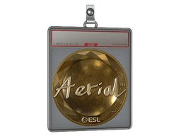 Sticker Slab | Aerial (Gold) | Katowice 2019