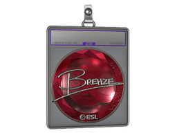 Sticker Slab | Brehze (Foil) | Katowice 2019