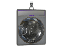 Sticker Slab | DickStacy (Foil) | Katowice 2019
