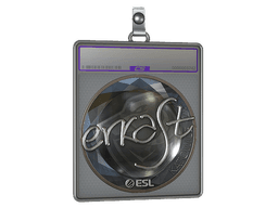 Sticker Slab | erkaSt (Foil) | Katowice 2019