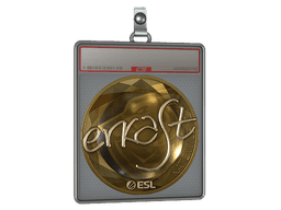 Sticker Slab | erkaSt (Gold) | Katowice 2019