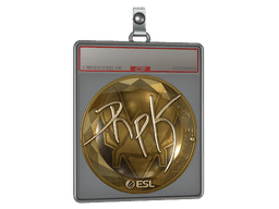 Sticker Slab | RpK (Gold) | Katowice 2019
