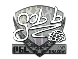 gob b | Krakow 2017