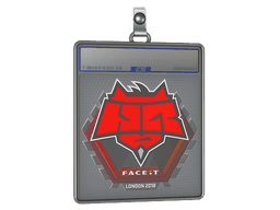 Sticker Slab | HellRaisers | Katowice 2019