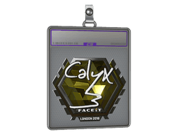 Sticker Slab | Calyx (Foil) | Boston 2018