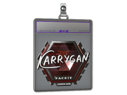 Sticker Slab | karrigan (Foil) | Krakow 2017