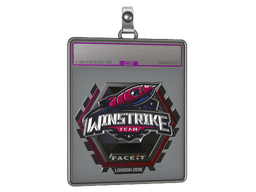 Sticker Slab | Winstrike Team (Foil) | London 2018