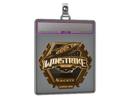 Sticker Slab | Winstrike Team (Gold) | Katowice 2019