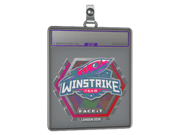 Sticker Slab | Winstrike Team (Holo) | Katowice 2019
