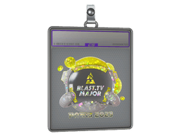 Sticker Slab | BLAST.tv (Glitter) | Paris 2023