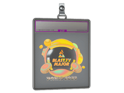 Sticker Slab | BLAST.tv (Holo) | Austin 2025