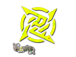 Ninjas in Pyjamas (Glitter) | Paris 2023