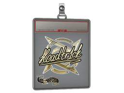 Sticker Slab | headtr1ck (Gold) | Austin 2025