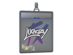 Sticker Slab | Lucaozy | Austin 2025