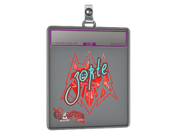 Sticker Slab | zorte (Holo) | Austin 2025