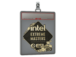 Sticker Slab | IEM (Gold) | Katowice 2019