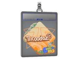 Sticker Slab | nicoodoz | Rio 2022
